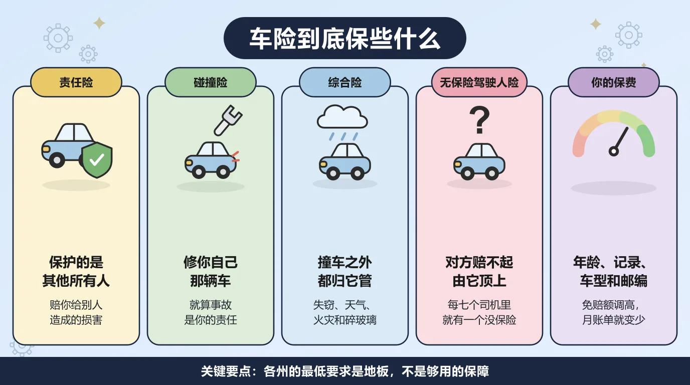 车险的五项保障：责任险赔你给别人造成的损害，碰撞险修你自己的车，综合险管撞车之外的失窃、天气、火灾和碎玻璃，无保险驾驶人险在肇事方赔不起时顶上，而年龄、驾驶记录、车型和邮编决定你的保费。